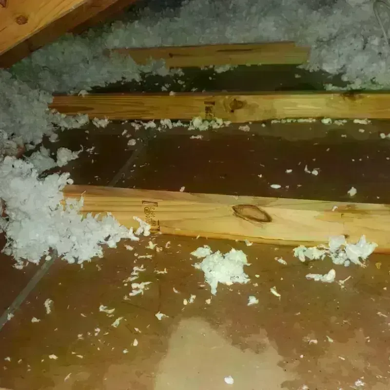 Attic Water Damage in Naples Manor, FL